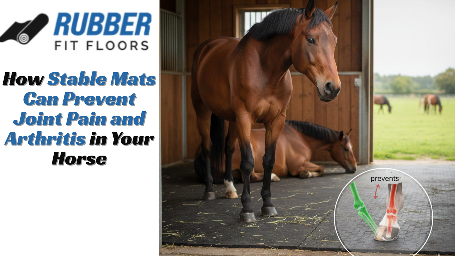 features  How Stable Mats Prevent Joint Pain In Horses