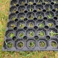 Grass Mats Gateway | Field Mats | Playground Matting | Safety Rubber | Mud Mats