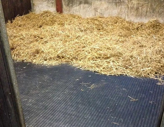 6 x Stable Horse Floor Matting EVA 24mm EVA Cushioned Mats