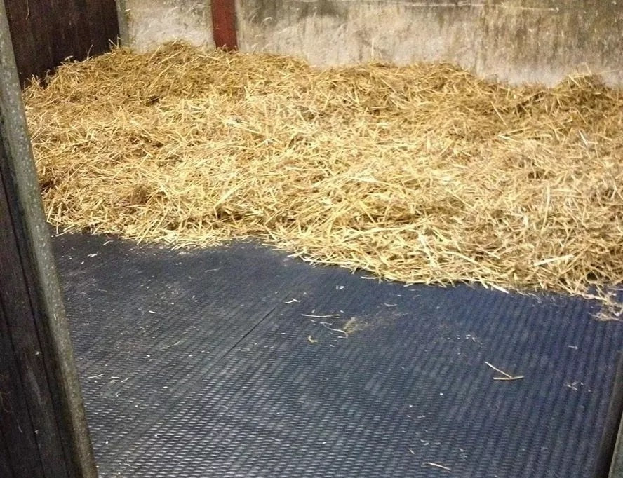 6 x Stable Horse Floor Matting EVA 24mm EVA Cushioned Mats | Special Deal